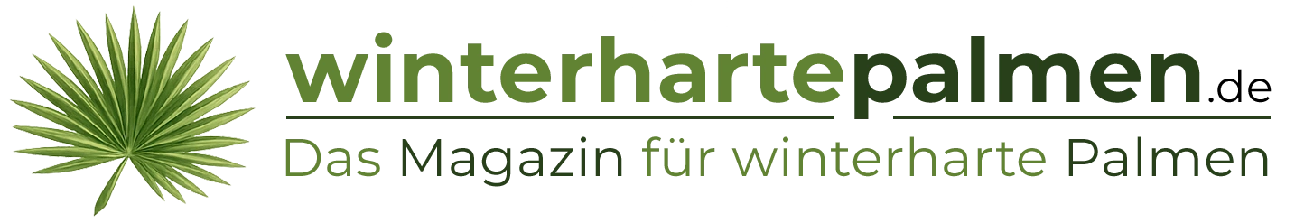 winterhartepalmen.de – Das Info Portal