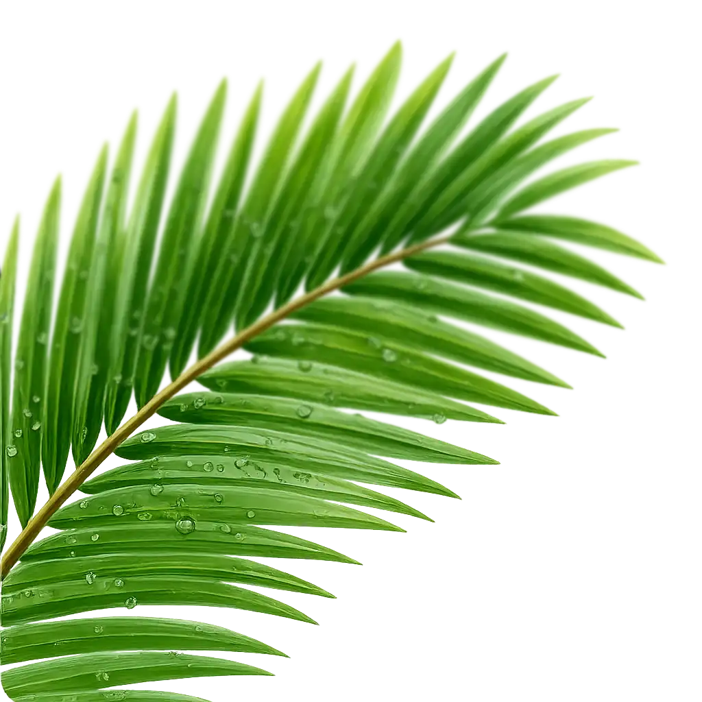 Palmwedel links