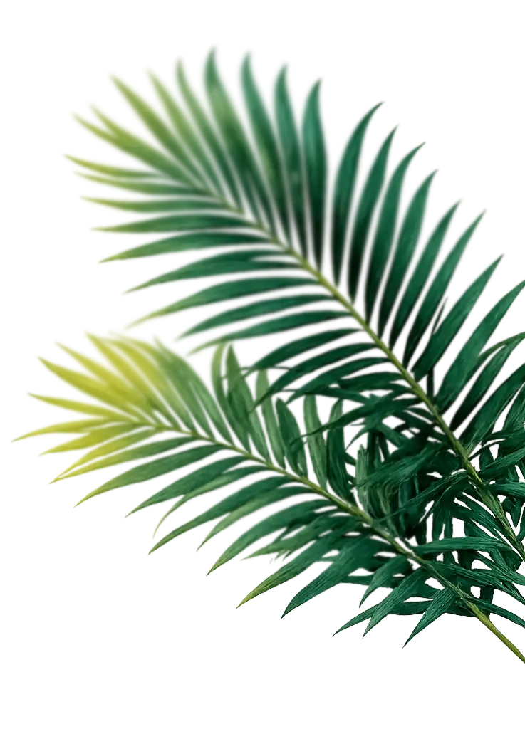 Palmwedel rechts
